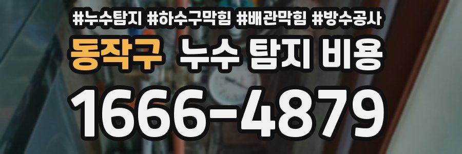 동작구 누수 탐지 비용