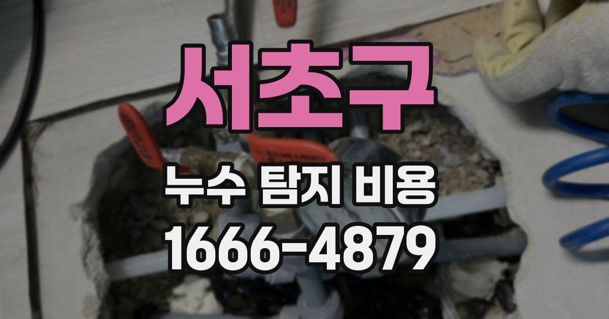 서초구 누수 탐지 비용