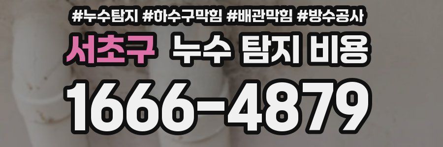 서초구 누수 탐지 비용