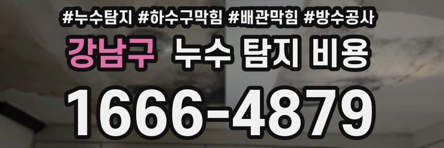 강남구 누수 탐지 비용
