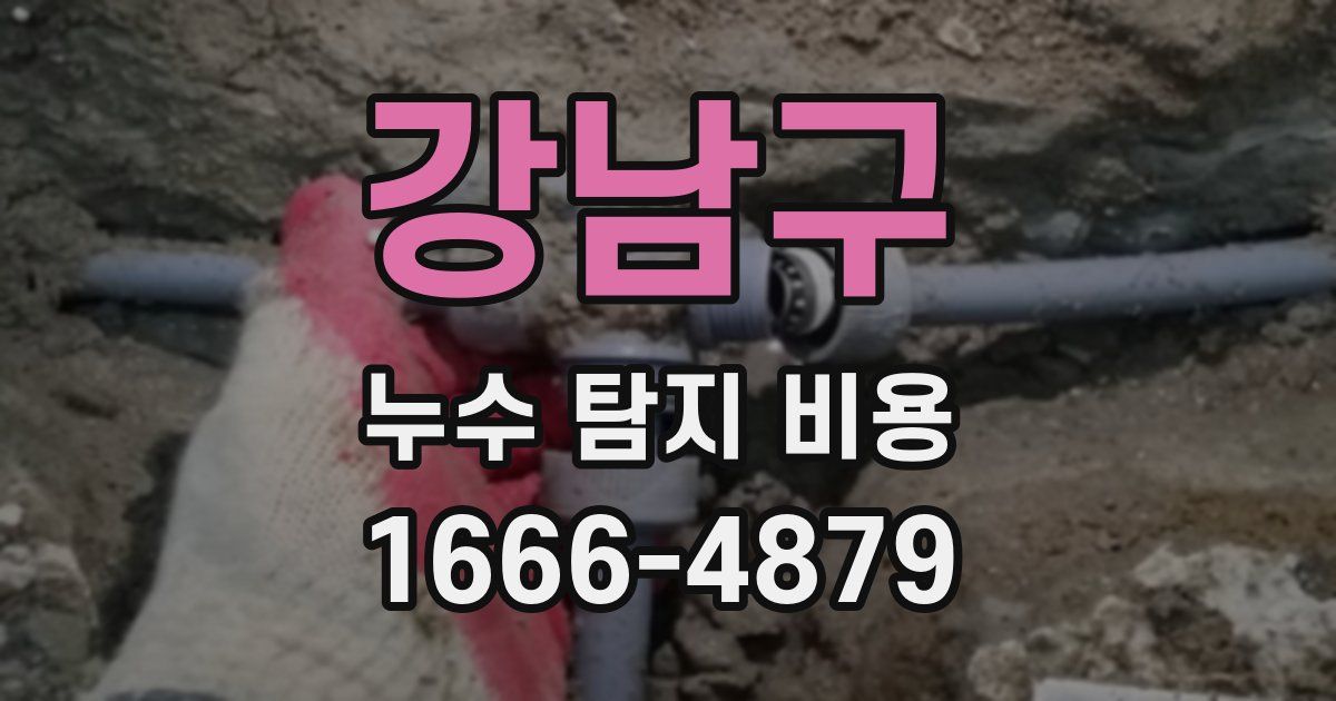 강남구 누수 탐지 비용