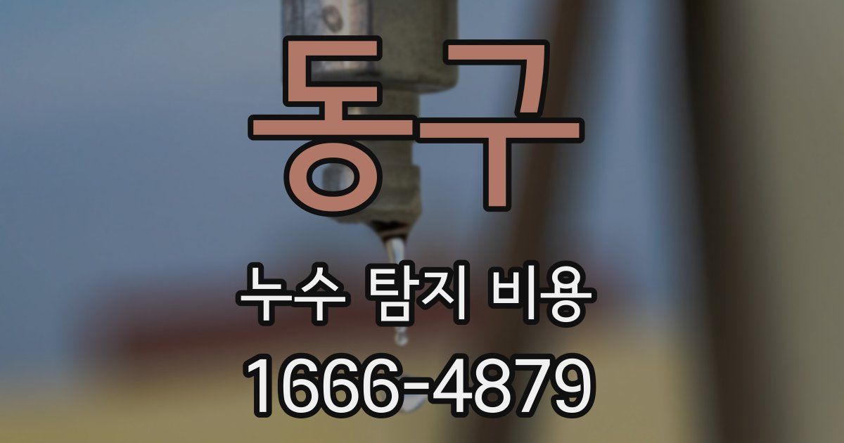 동구 누수 탐지 비용