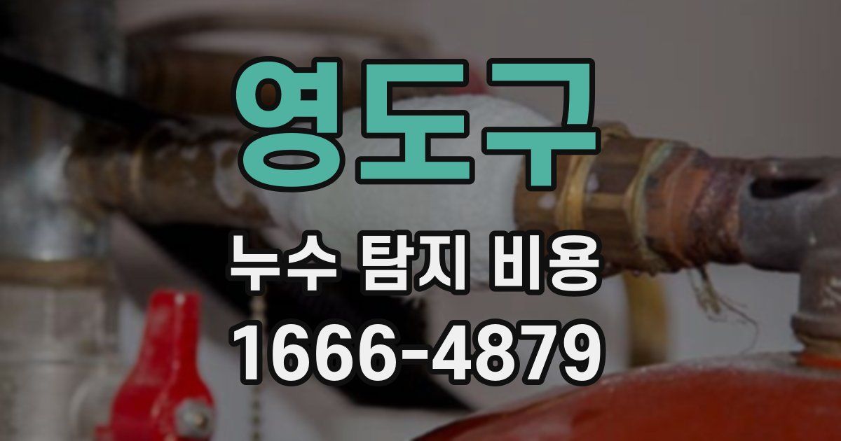 영도구 누수 탐지 비용