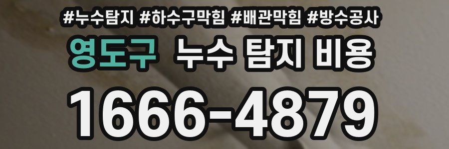 영도구 누수 탐지 비용
