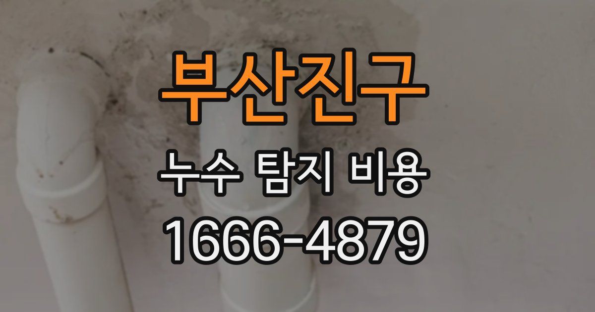 부산진구 누수 탐지 비용