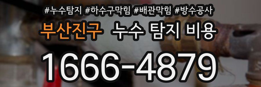 부산진구 누수 탐지 비용