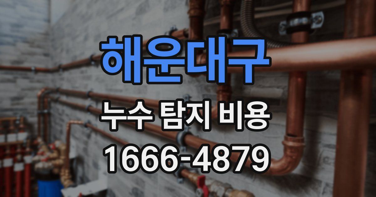 해운대구 누수 탐지 비용