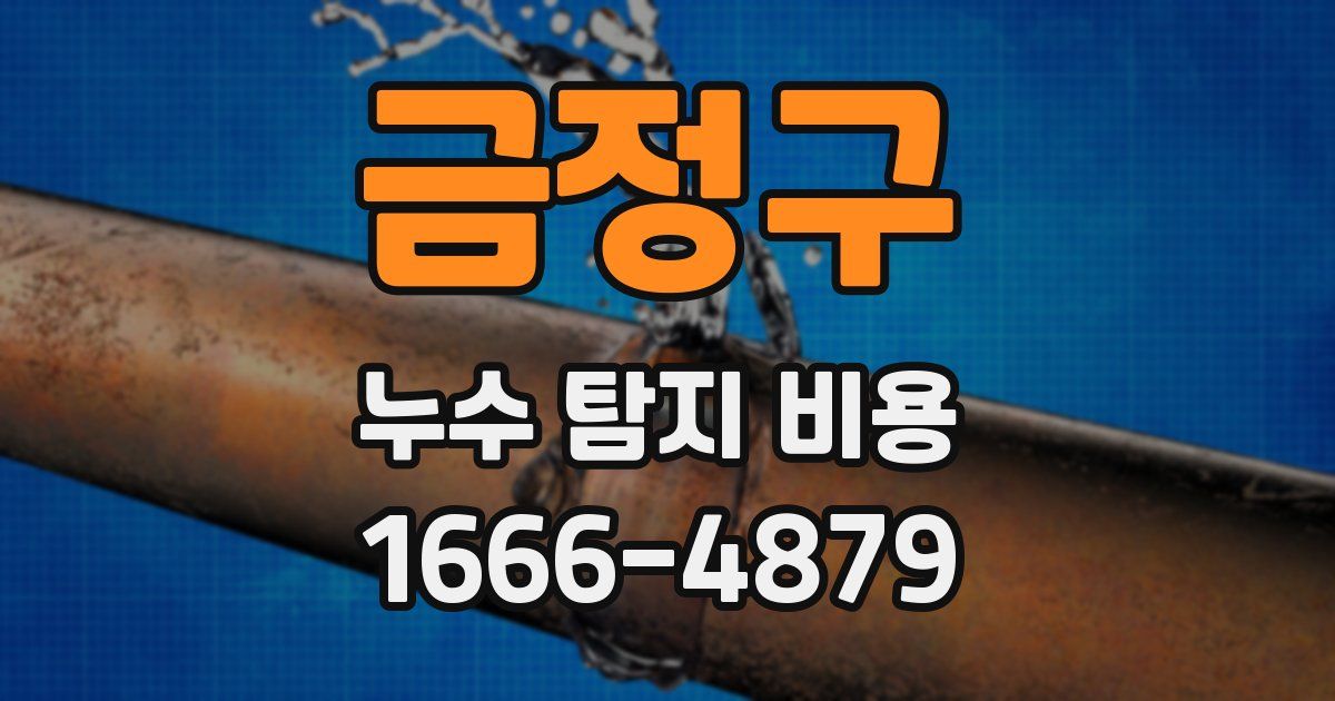 금정구 누수 탐지 비용