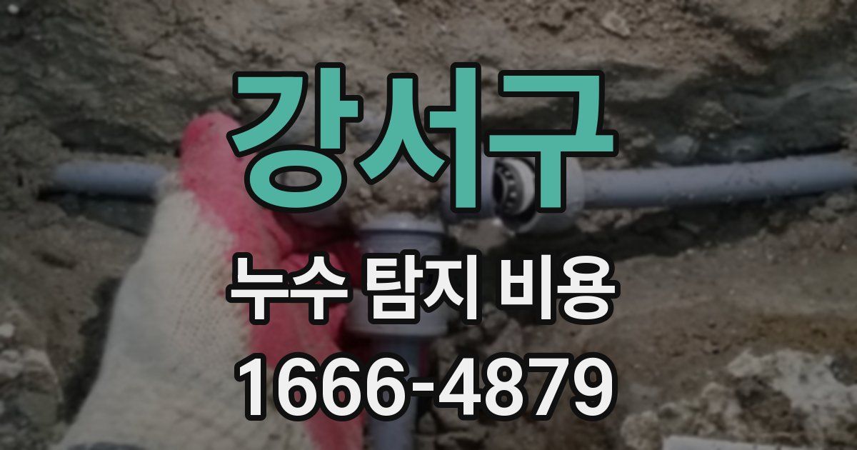 강서구 누수 탐지 비용