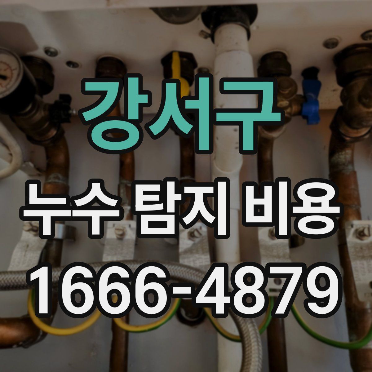 강서구 누수 탐지 비용