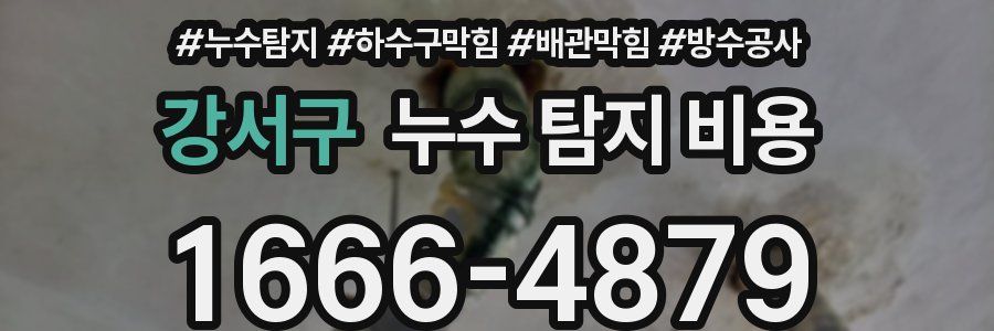 강서구 누수 탐지 비용