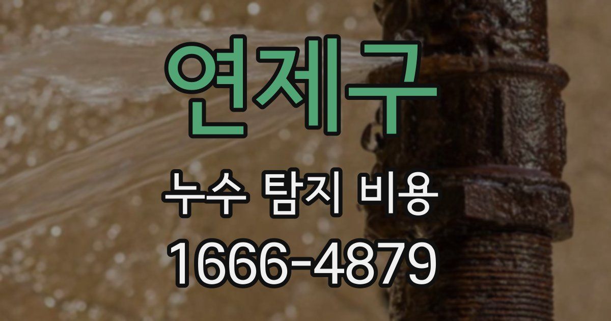 연제구 누수 탐지 비용