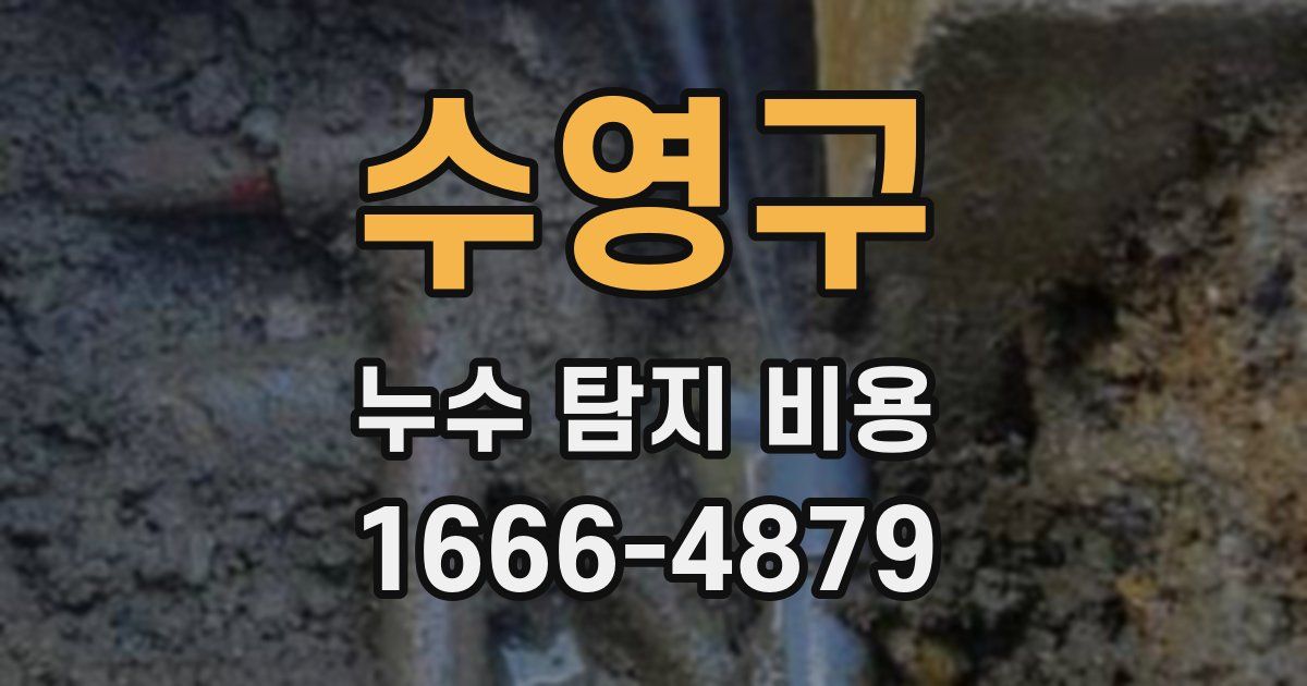 수영구 누수 탐지 비용