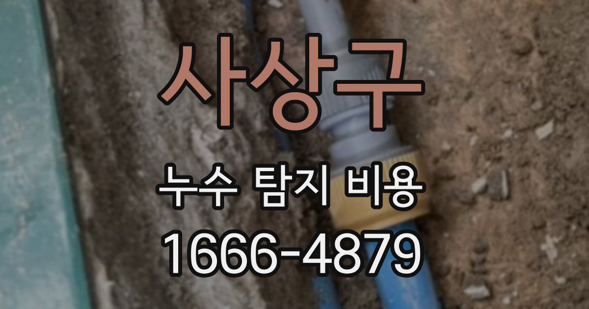 사상구 누수 탐지 비용
