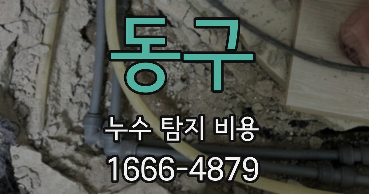 동구 누수 탐지 비용