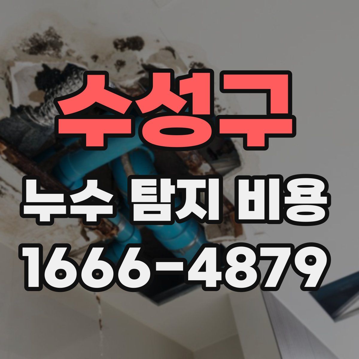 수성구 누수 탐지 비용