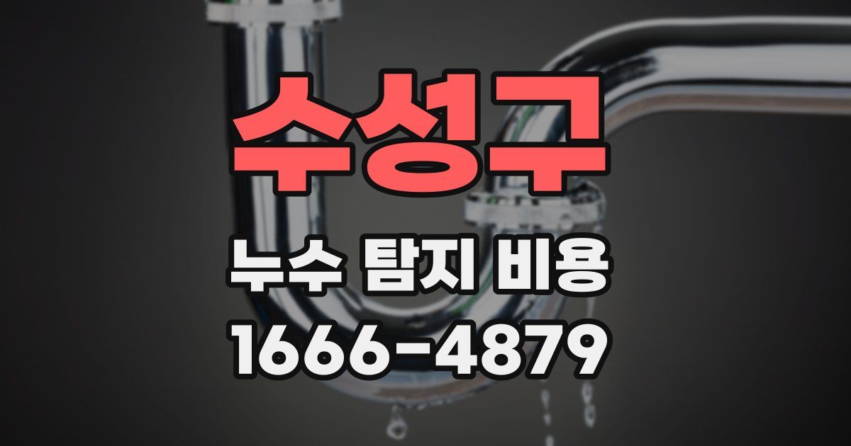 수성구 누수 탐지 비용