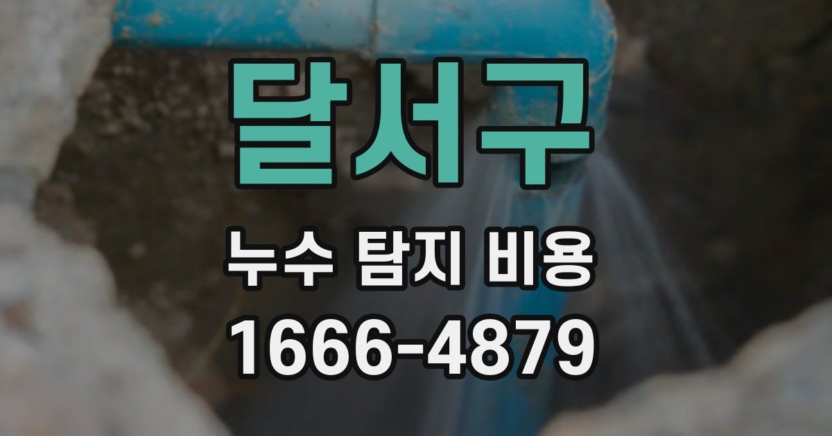 달서구 누수 탐지 비용