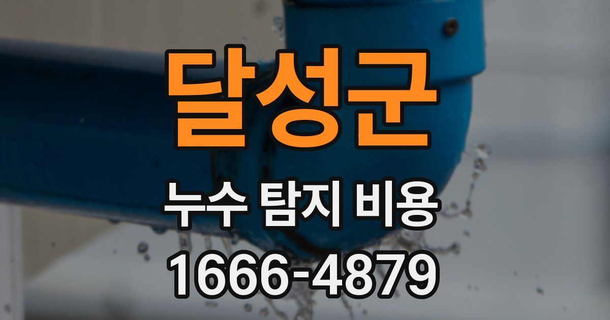 달성군 누수 탐지 비용
