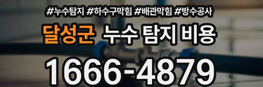 달성군 누수 탐지 비용