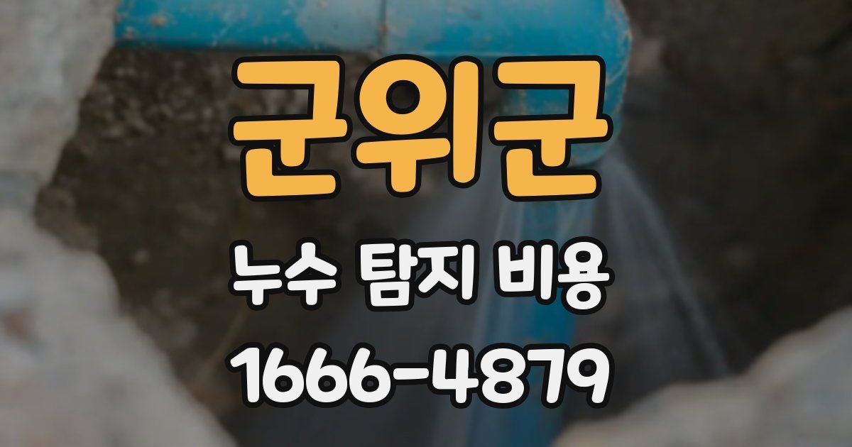 군위군 누수 탐지 비용