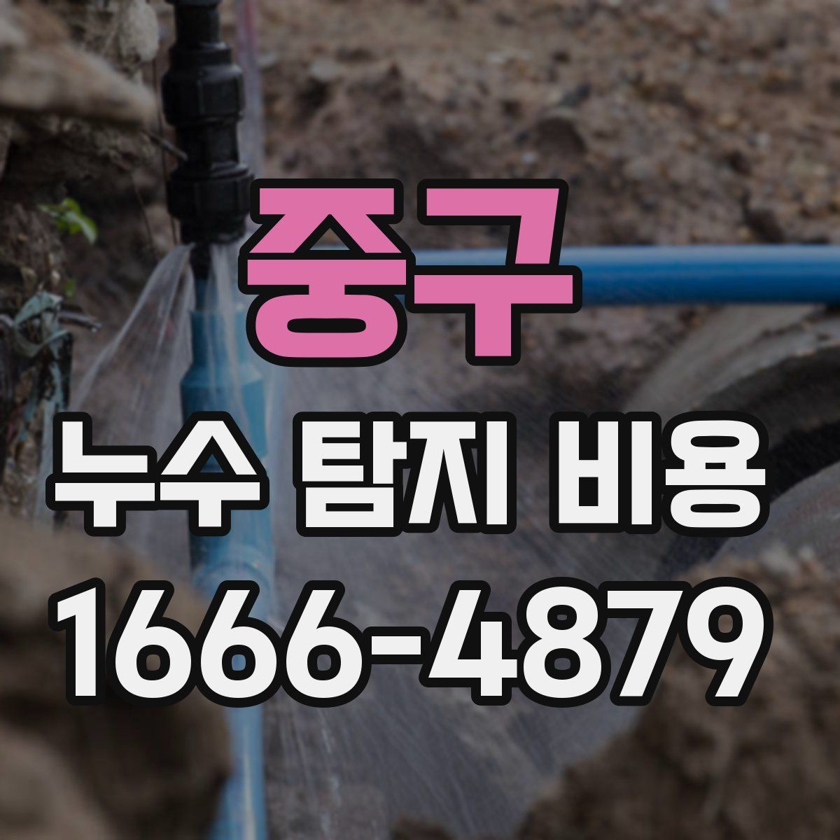 중구 누수 탐지 비용