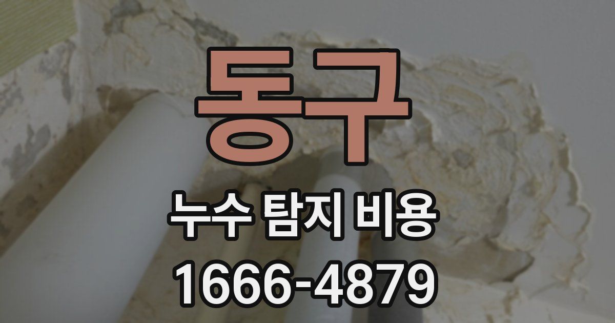 동구 누수 탐지 비용