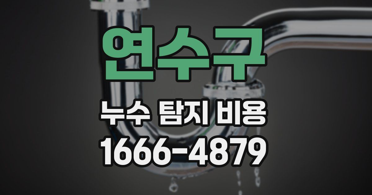 연수구 누수 탐지 비용