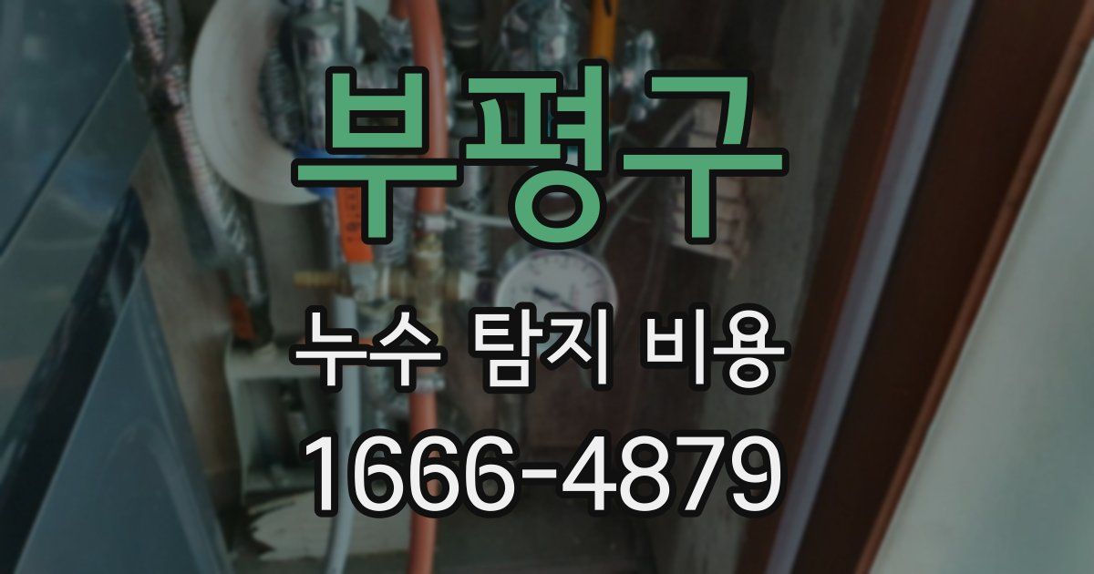 부평구 누수 탐지 비용