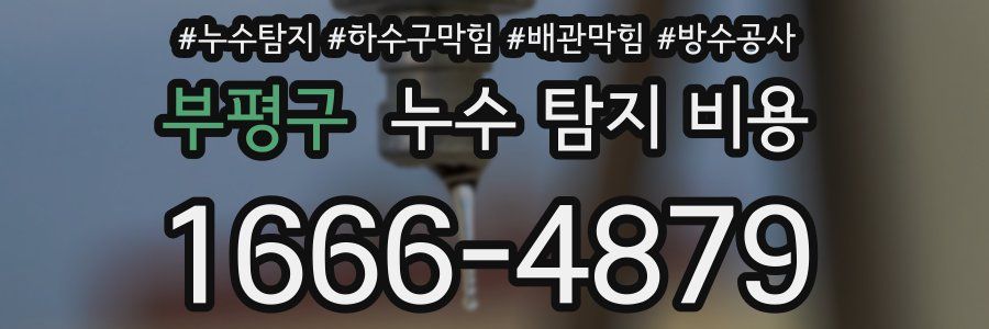 부평구 누수 탐지 비용