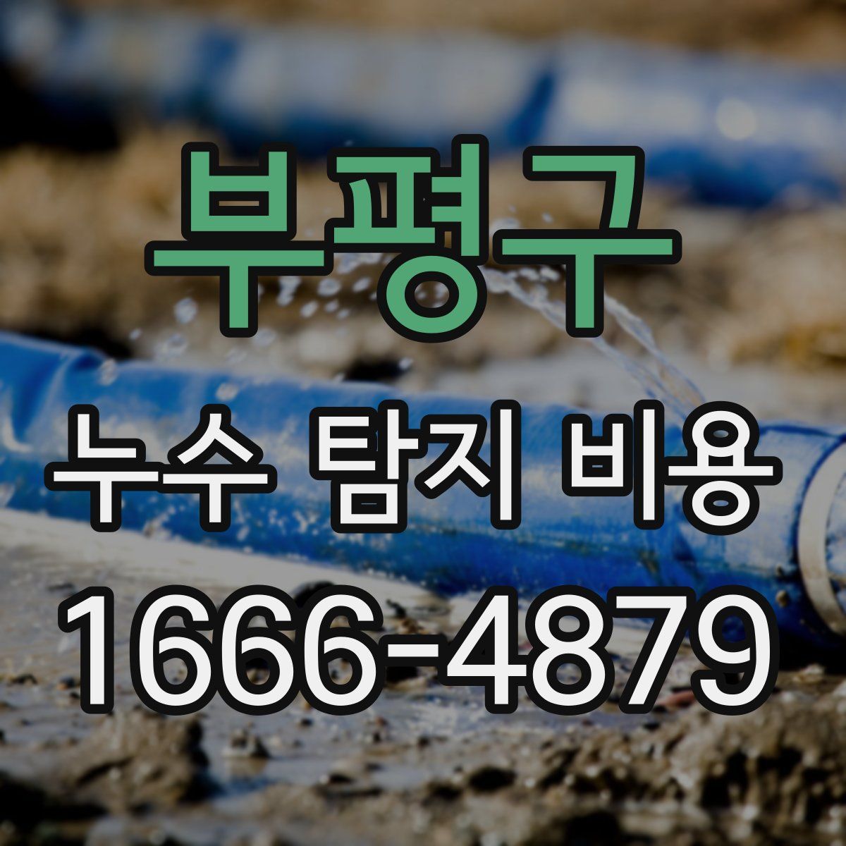 부평구 누수 탐지 비용
