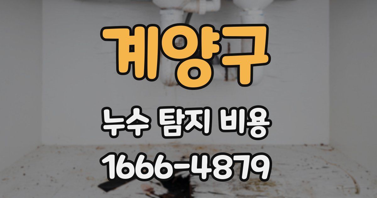 계양구 누수 탐지 비용