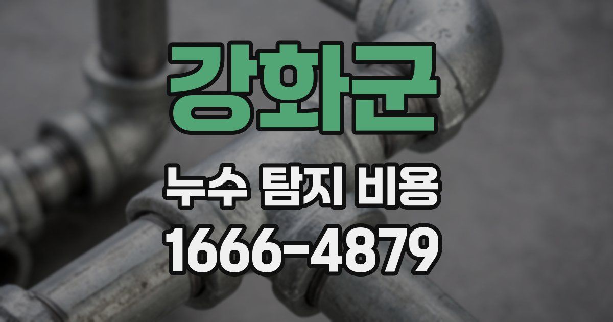 강화군 누수 탐지 비용
