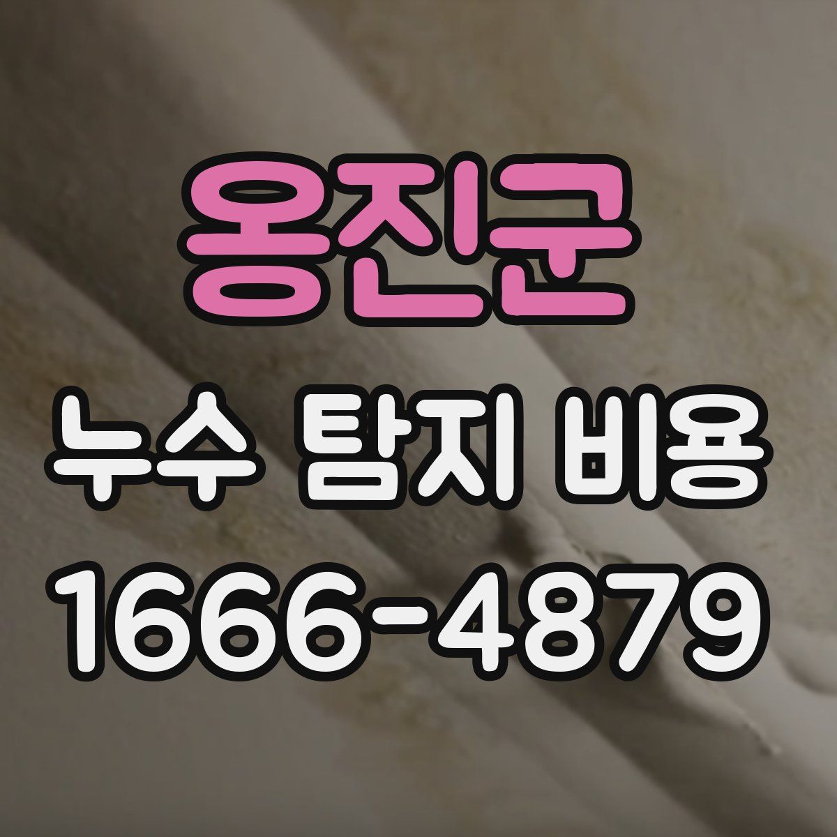옹진군 누수 탐지 비용