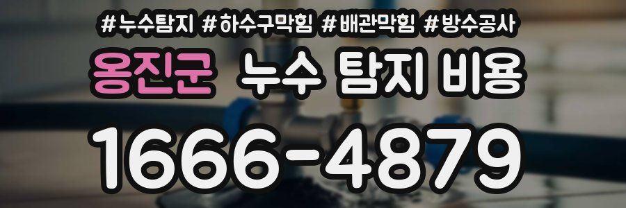 옹진군 누수 탐지 비용