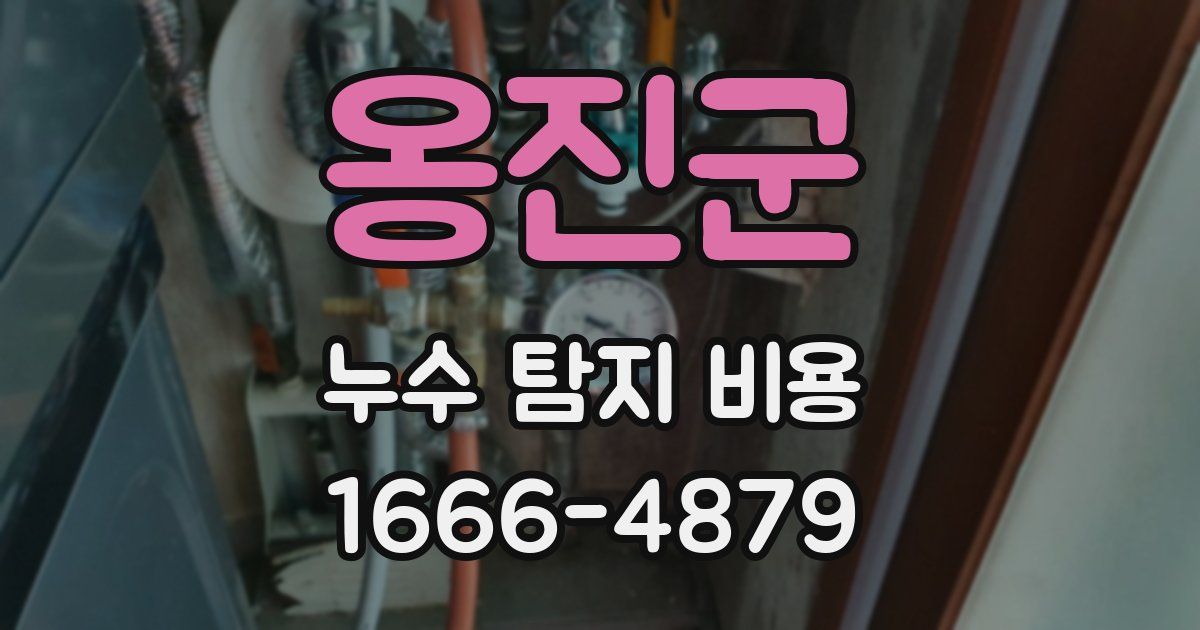 옹진군 누수 탐지 비용