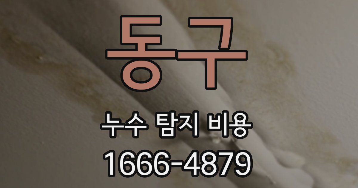 동구 누수 탐지 비용