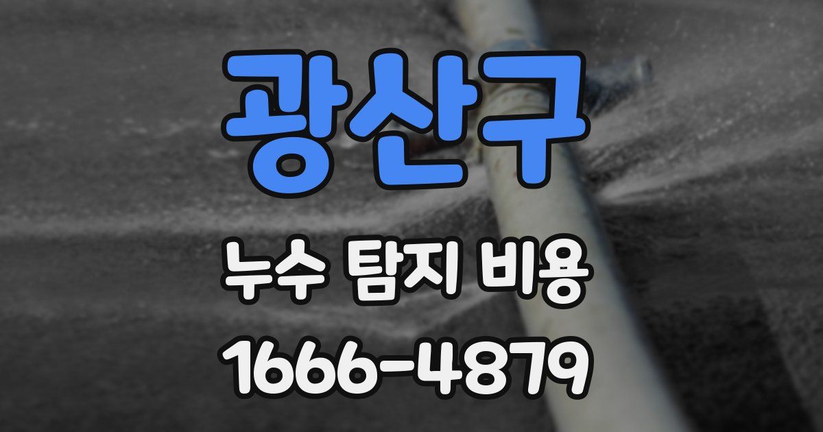 광산구 누수 탐지 비용