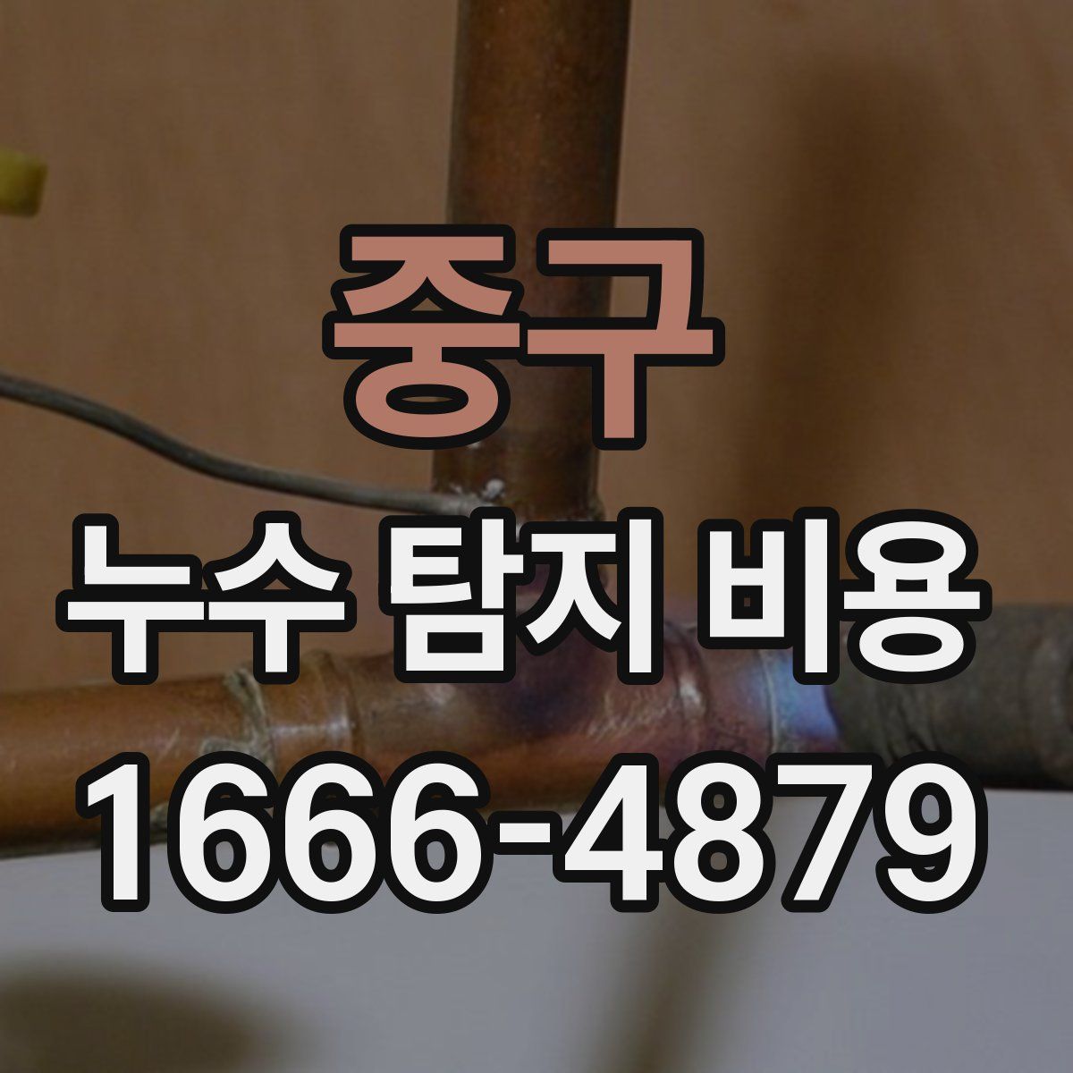 중구 누수 탐지 비용