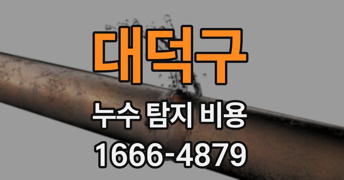 대덕구 누수 탐지 비용