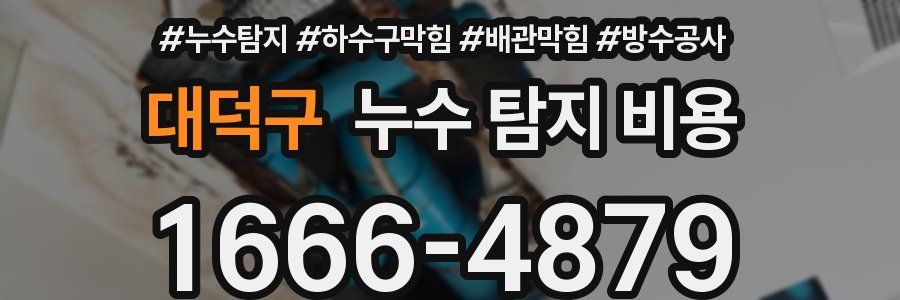 대덕구 누수 탐지 비용