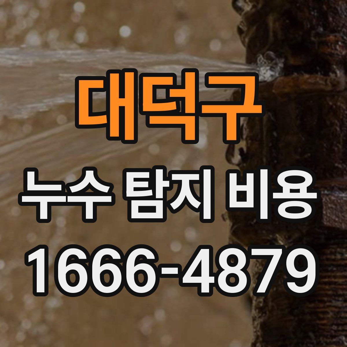 대덕구 누수 탐지 비용