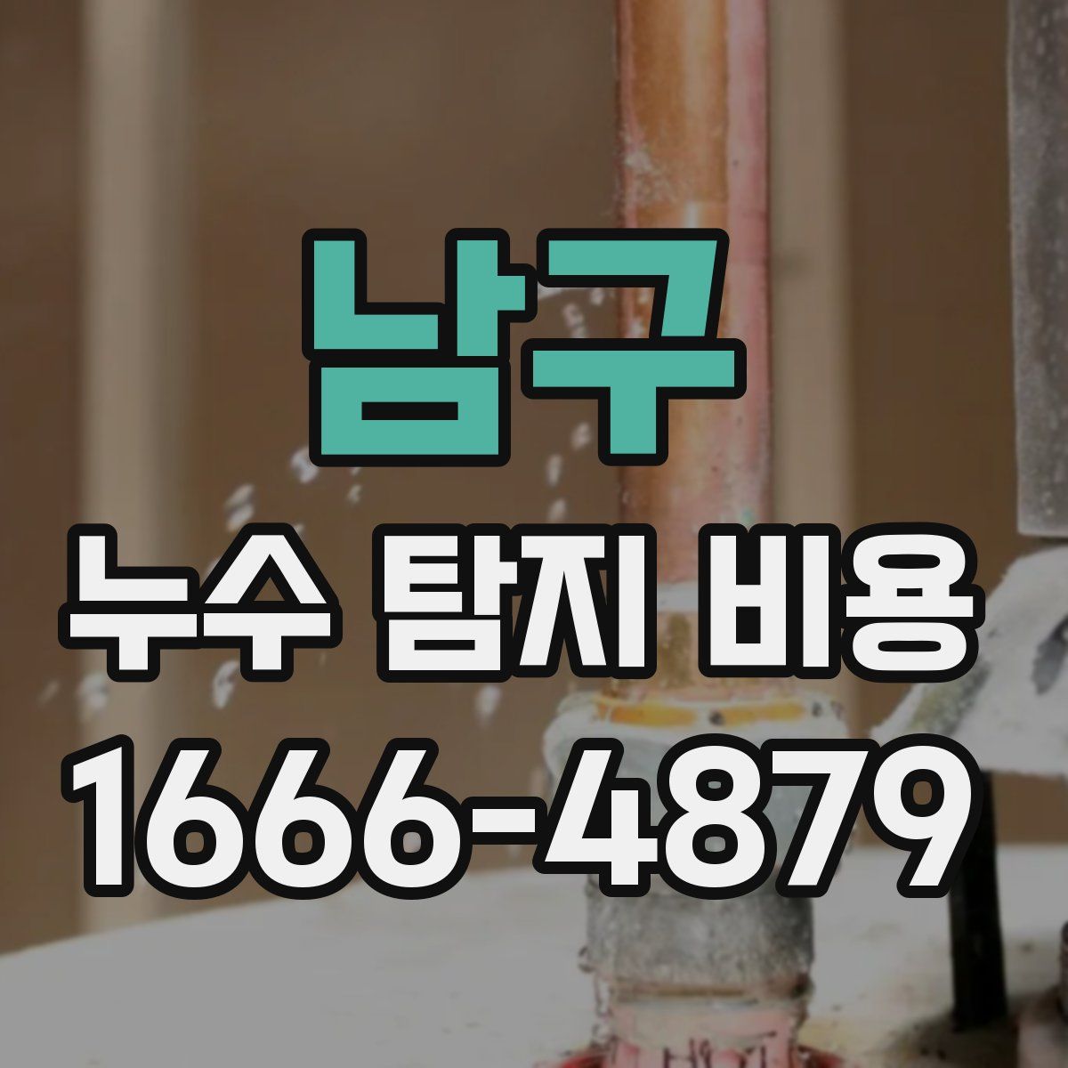 남구 누수 탐지 비용