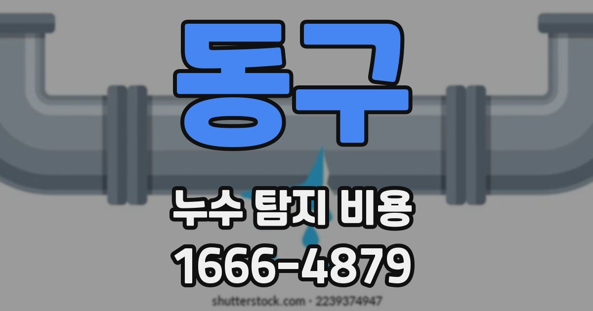 동구 누수 탐지 비용