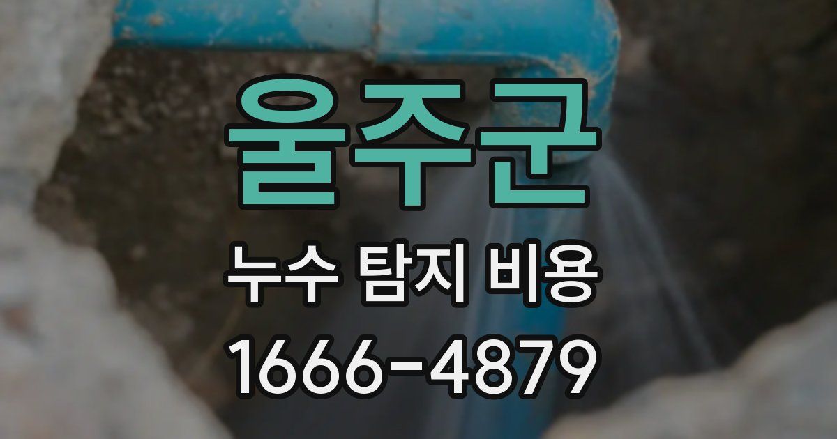 울주군 누수 탐지 비용