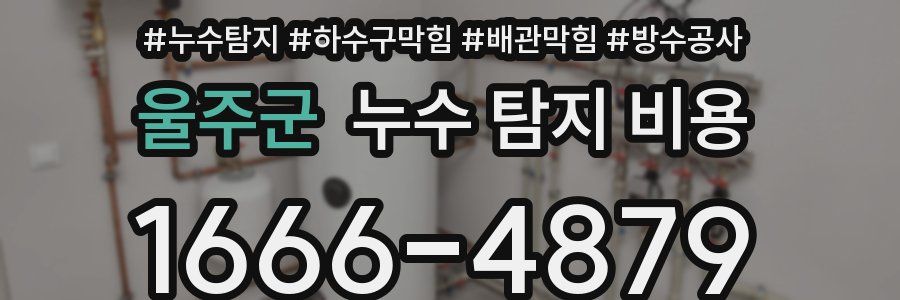 울주군 누수 탐지 비용