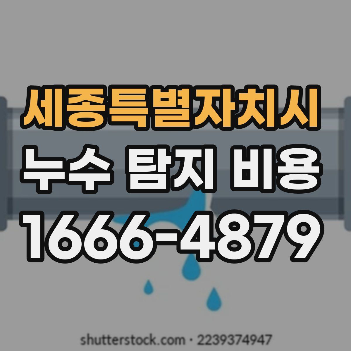 세종특별자치시 누수 탐지 비용