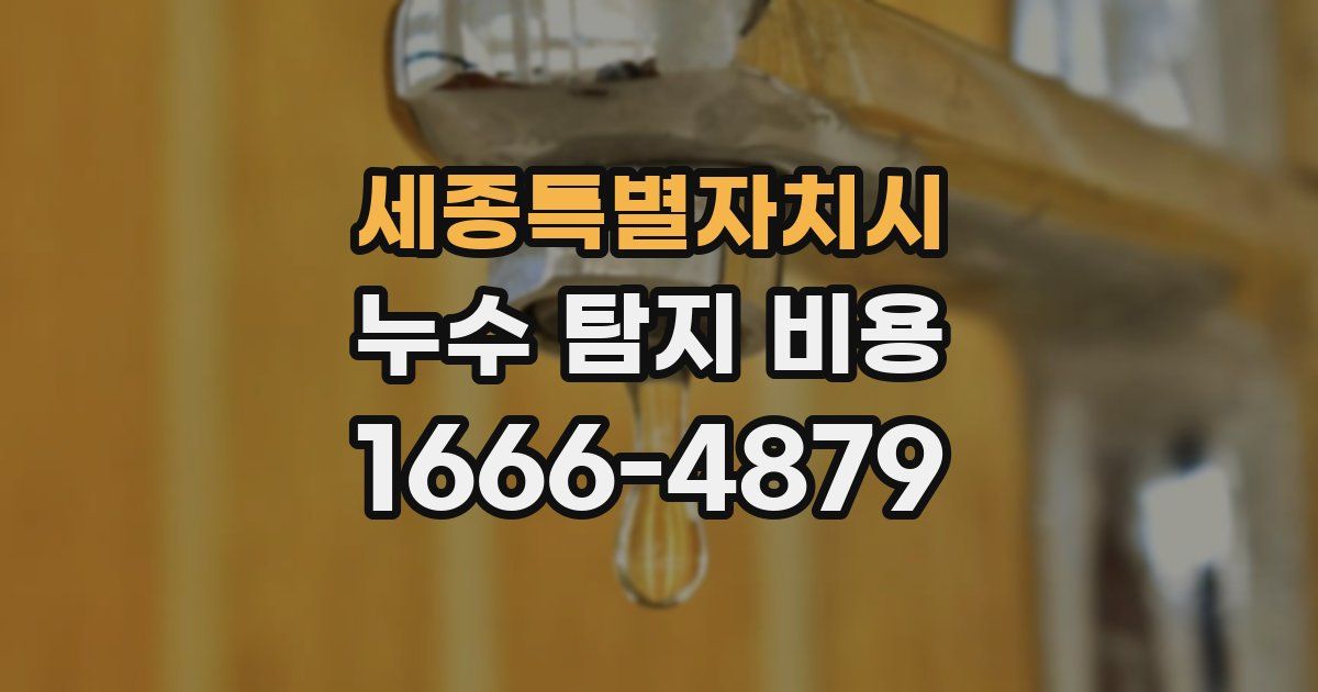 세종특별자치시 누수 탐지 비용