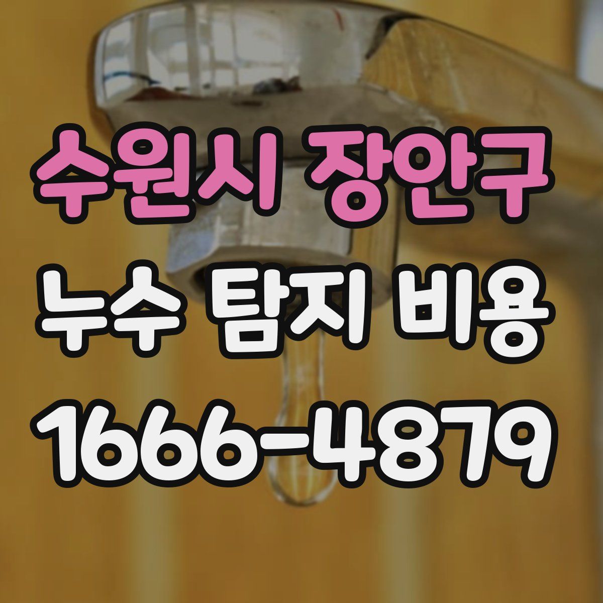 수원시 장안구 누수 탐지 비용