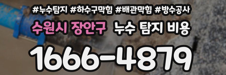 수원시 장안구 누수 탐지 비용